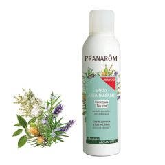 Ravintsara - Spray Saneamiento Árbol del Té BIO 75 ml Aromaforce Pranarôm